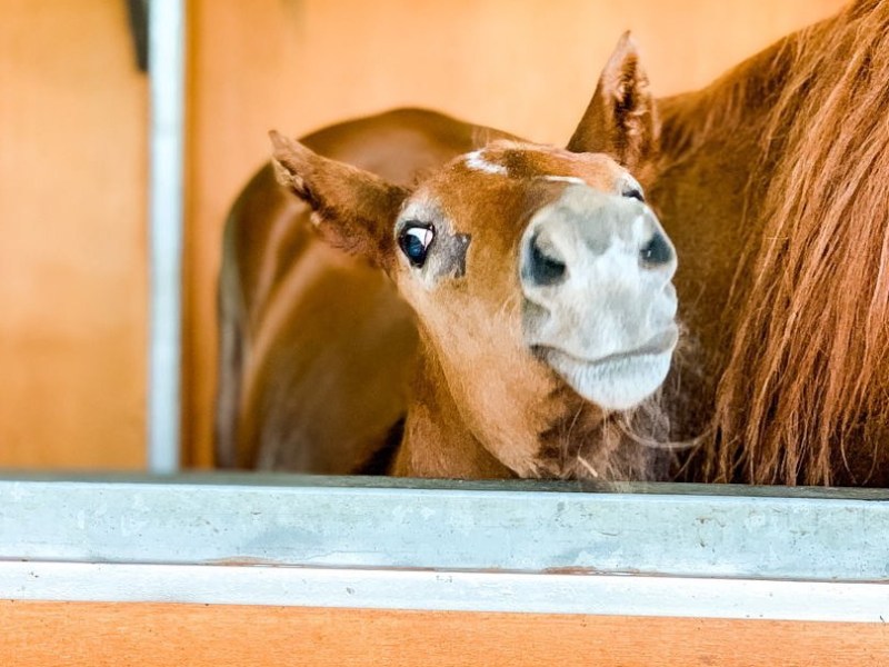 2020 Recap- Better late then never?